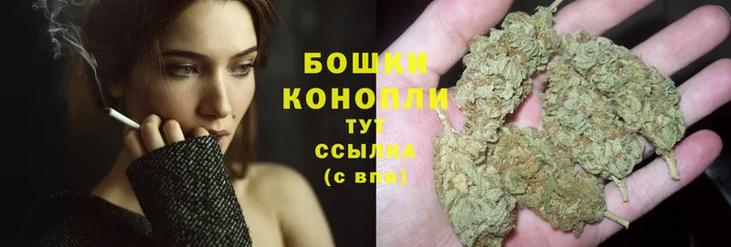 mega вход  Шуя  Марихуана Ganja  цена наркотик 